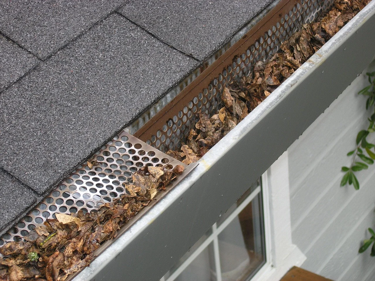 Gutter Maintenance