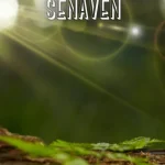 senaven