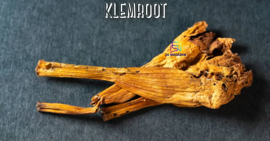 klemroot