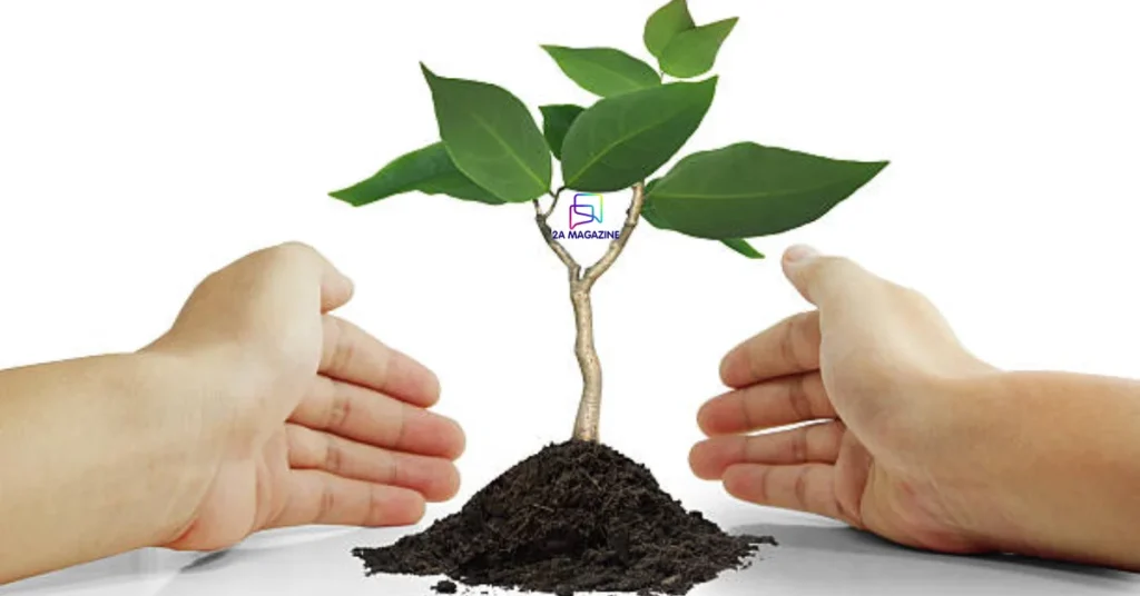 ракитовица