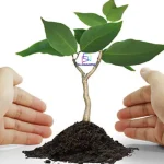 ракитовица