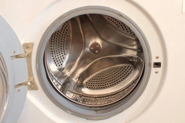 Washing Machine’s Hidden Mold