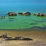 Historic Marietta Investment