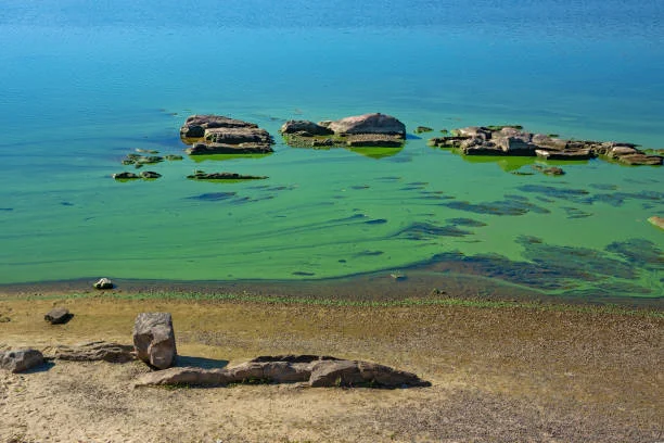 Historic Marietta Investment