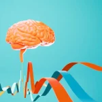 Neuro Rehabilitation