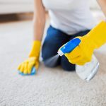 Professional Carpet Cleaning for a Fresher, Healthier Space