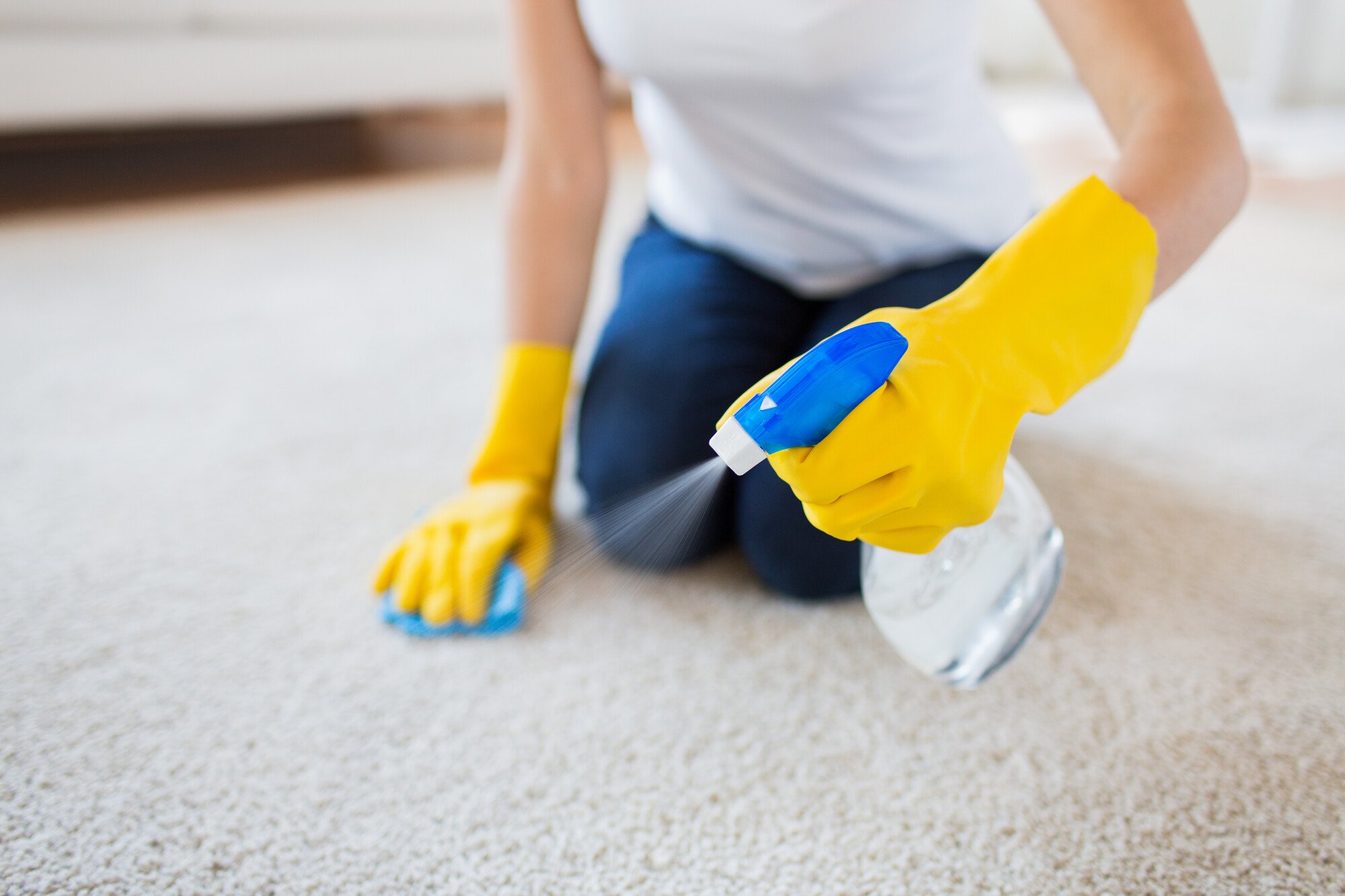 Professional Carpet Cleaning for a Fresher, Healthier Space