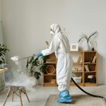 Expert Pest Control Services for a Safe, Pest-Free Space
