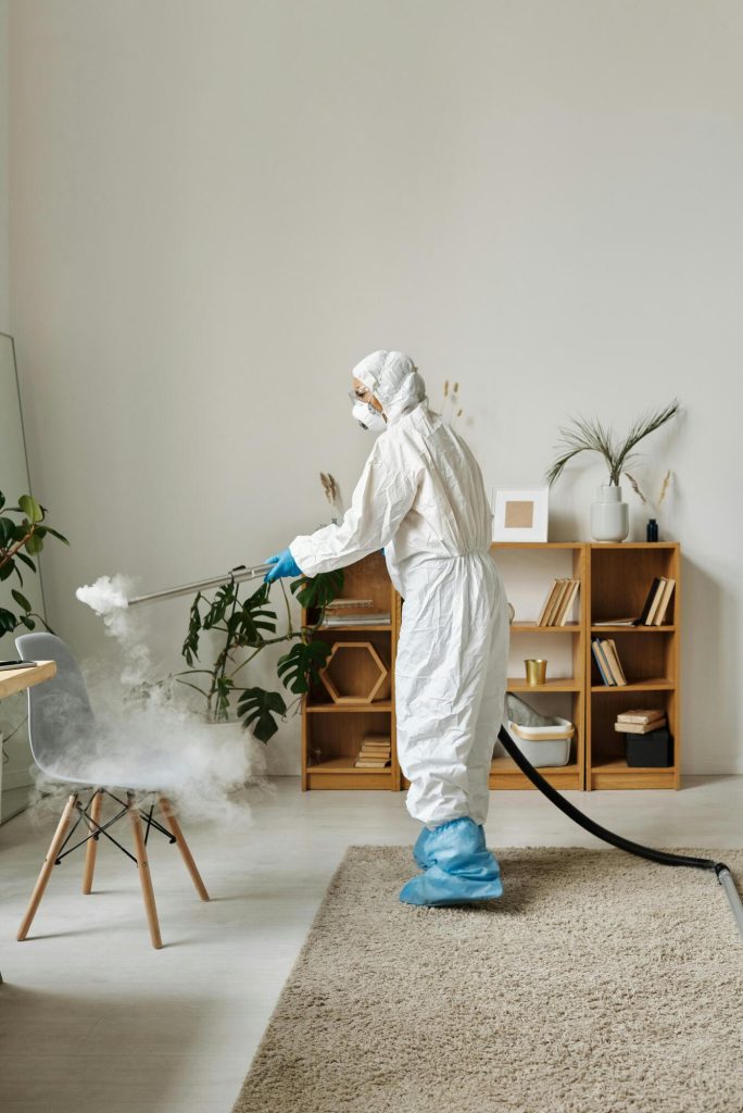Expert Pest Control Services for a Safe, Pest-Free Space