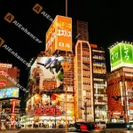 AIEnhancer watermark remover