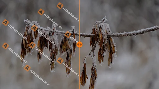 AIEnhancer Watermark Remover