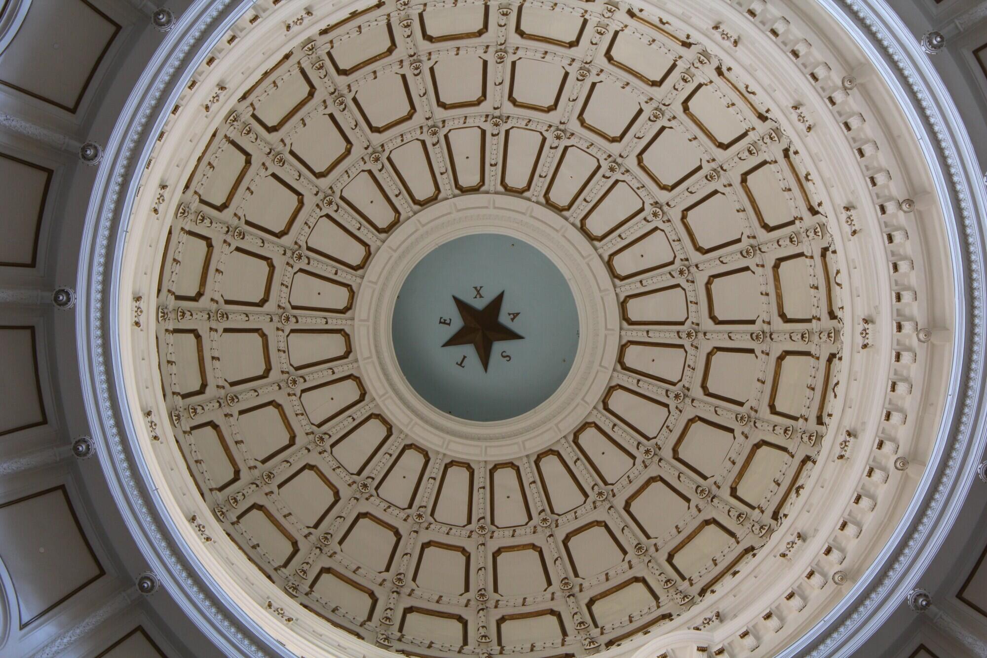 Ceiling Design Trends That Add Depth, Style, and Character