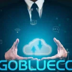 gobluecc