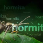 hormita