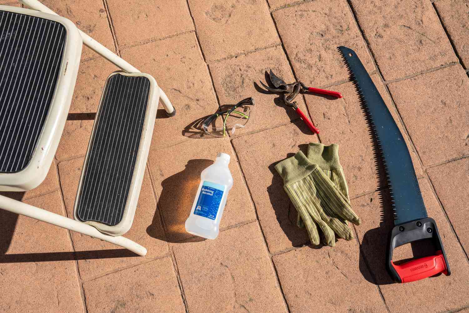 Palm Pruning: What You Should and Should Not Do