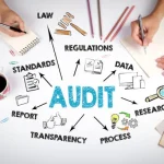Stock Audit in India