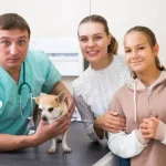 Orillia Pet Hospital