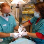 Top Dental Emergencies You Should Never Ignore