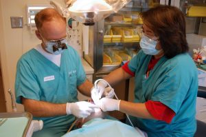 Top Dental Emergencies You Should Never Ignore