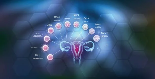 Modern Fertility Science