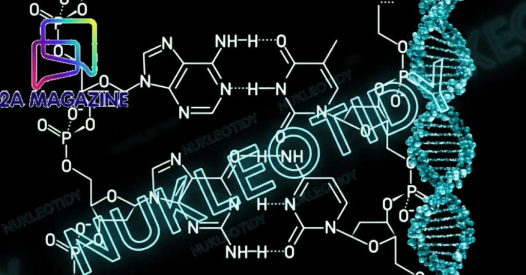 nukleotidy