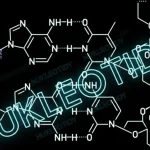 nukleotidy