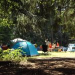 How Summer Camps Contribute to Personal Growth