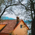 Roofing and Property Value