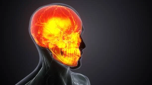 Hypoxic and Anoxic Brain Injuries