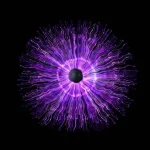 Healthcare software development