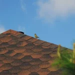 Asphalt Roof Shingles