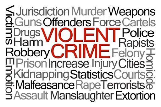 Tampa violent crime lawyer