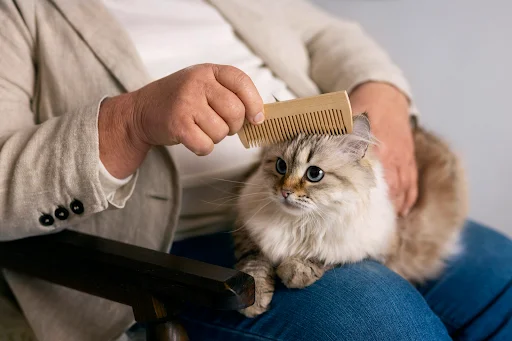Grooming Your Pet