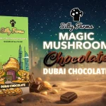 Magic Mushroom Chocolate