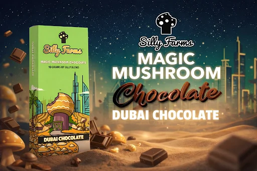 Magic Mushroom Chocolate