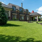 Pay for Pest Control