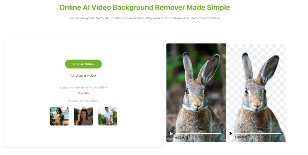 Video Background Remover