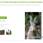 Video Background Remover