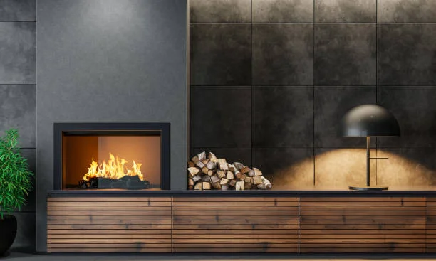 Luxury gas fireplace insert