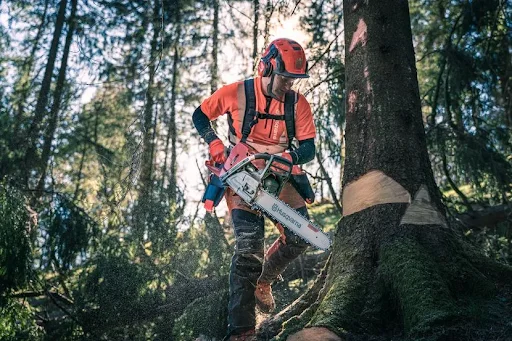 Vevor 58cc Gas Chainsaw