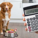 Raw Dog Food Calculator