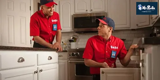 leaks and sewer problems