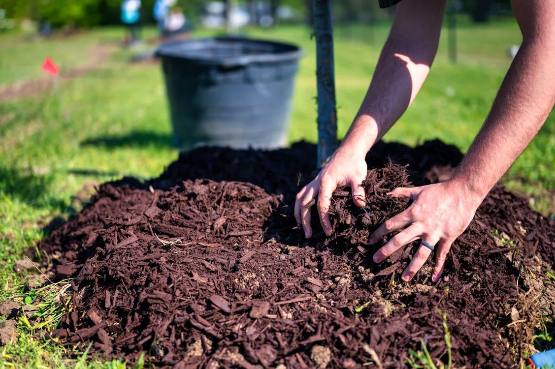 Dallas Mulch Supply