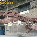 Animatronic Creations