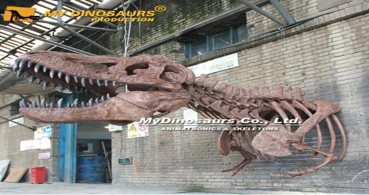 Animatronic Creations
