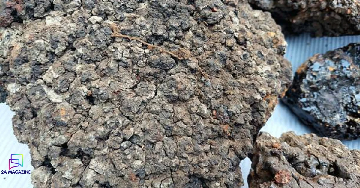 Dark siladzit resin oozing from Himalayan mountain rock crack at dawn