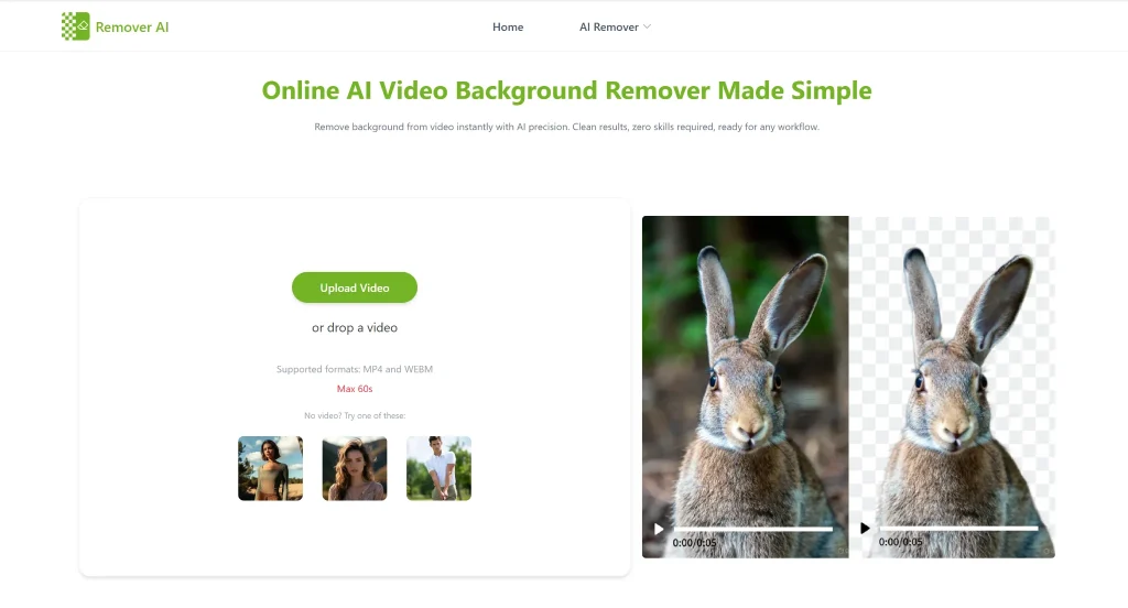 Video Background Remover Free