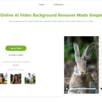 Video Background Remover Free