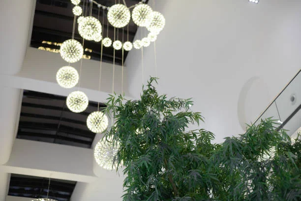 Biophilic lighting