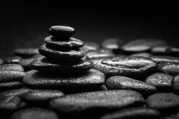 Traditional Ayurvedic herbs and minerals representing siladzit's ancient healing roots